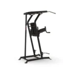 Inspire Fitness Compact upper body and core workout station for dips and knee raises