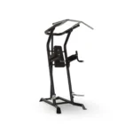 Inspire Fitness Vertical Knee Raise with padded armrests and back support