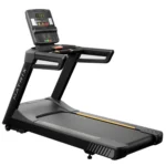 Matrix Endurance GT LED Treadmill with LED console
