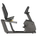 Matrix R50 Recumbent Bike with reclining mesh seat back