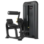 Vision Keystone Back Extension Machine with three start positions